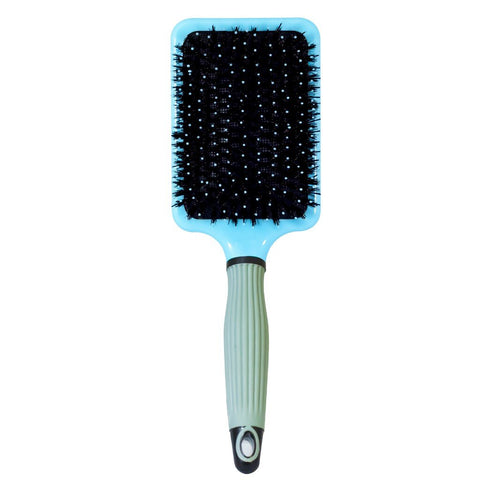 Paddle Brush | Accessory